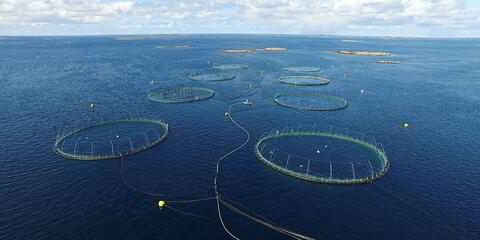 Bilder er fra AtoN sitt anlegg på vannet